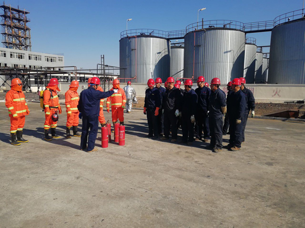 免费观看已满十八岁电视剧动漫版