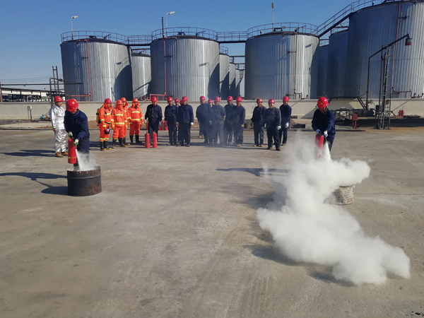 免费观看已满十八岁电视剧动漫版