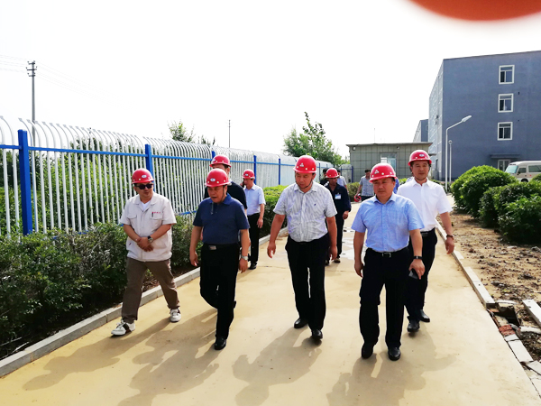 免费观看已满十八岁电视剧动漫版