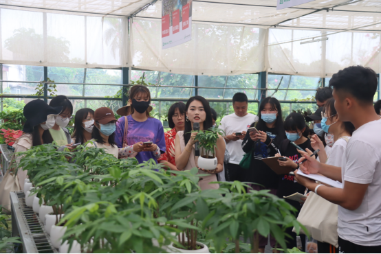 免费观看已满十八岁电视剧动漫版