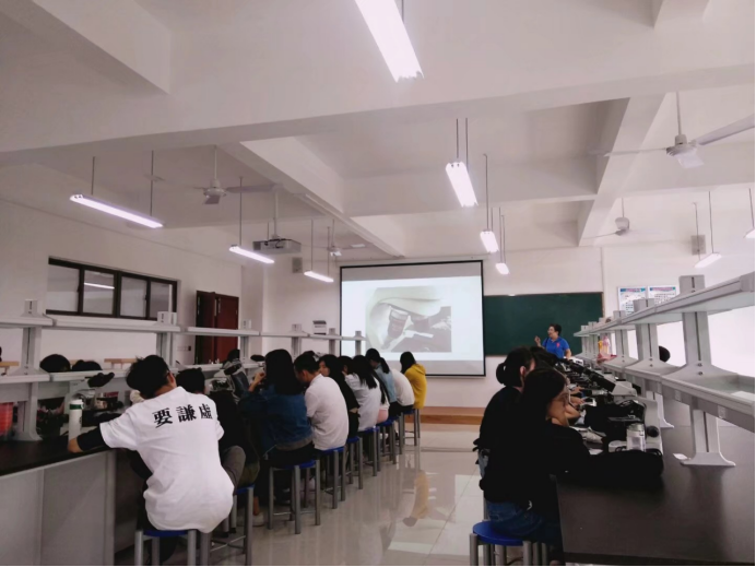 免费观看已满十八岁电视剧动漫版
