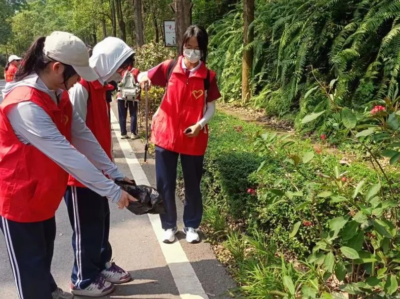 免费观看已满十八岁电视剧动漫版