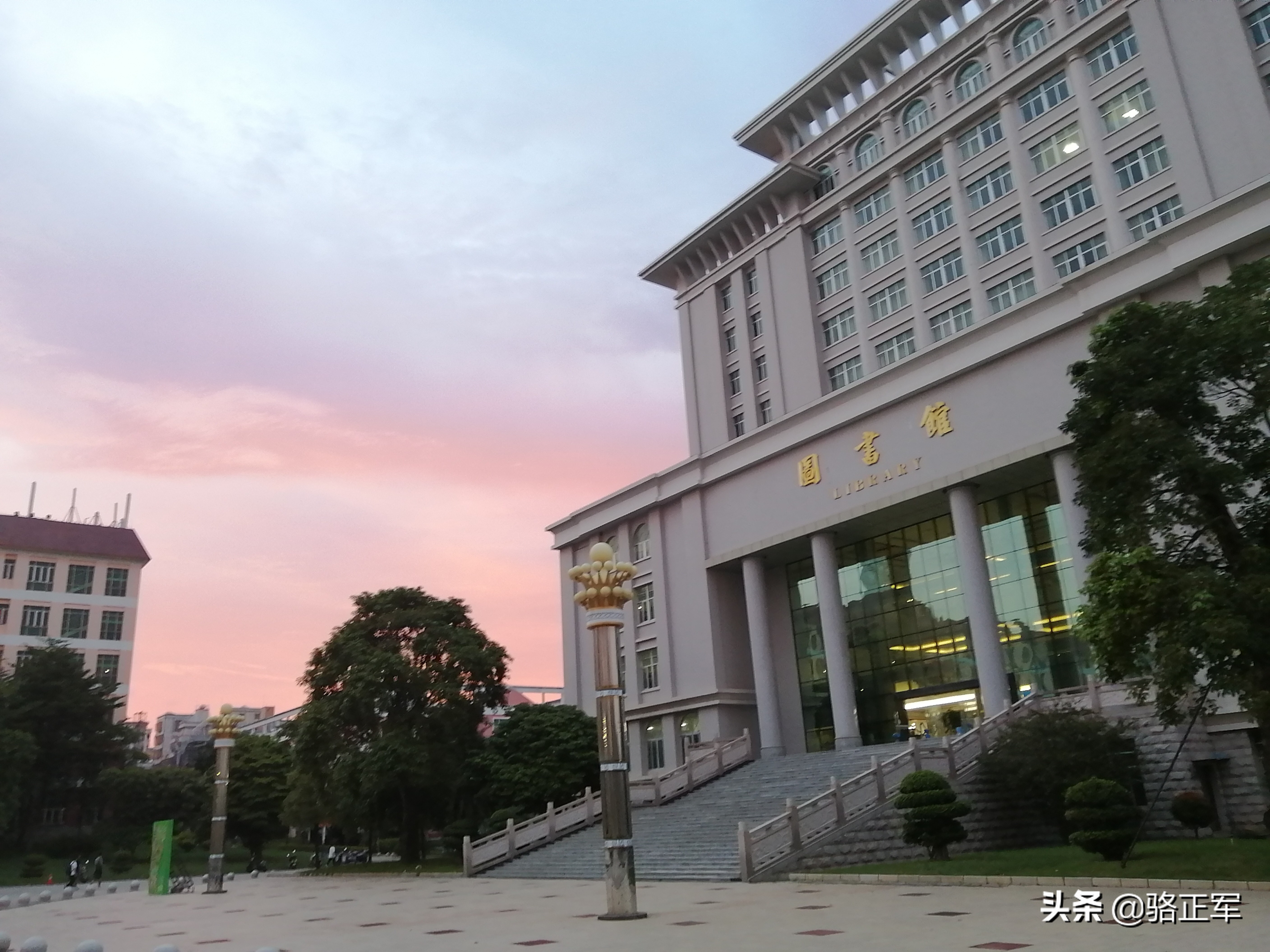 春风化雨绽新蕾