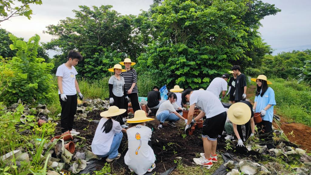 免费观看已满十八岁电视剧动漫版