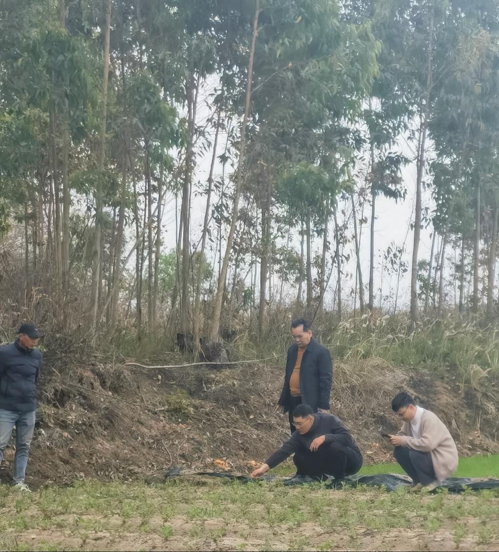 免费观看已满十八岁电视剧动漫版