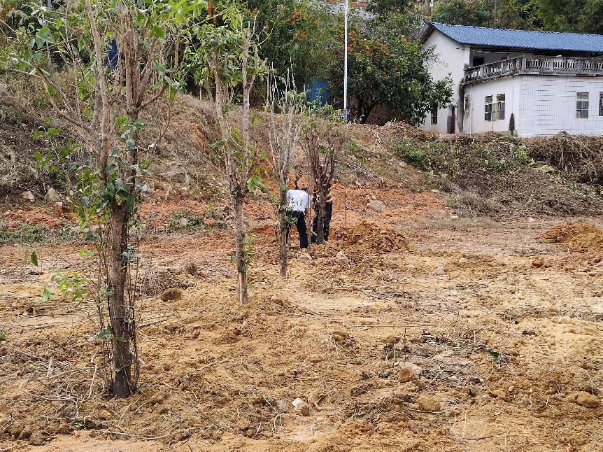 免费观看已满十八岁电视剧动漫版