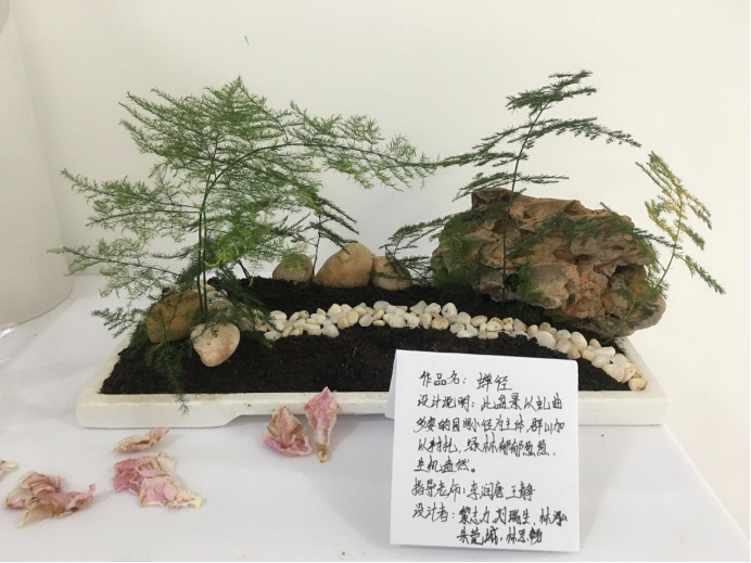 免费观看已满十八岁电视剧动漫版