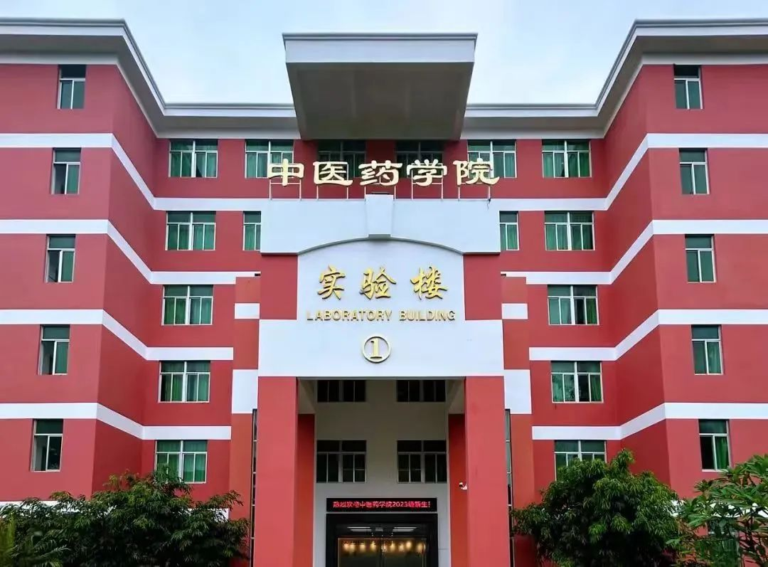 免费观看已满十八岁电视剧动漫版