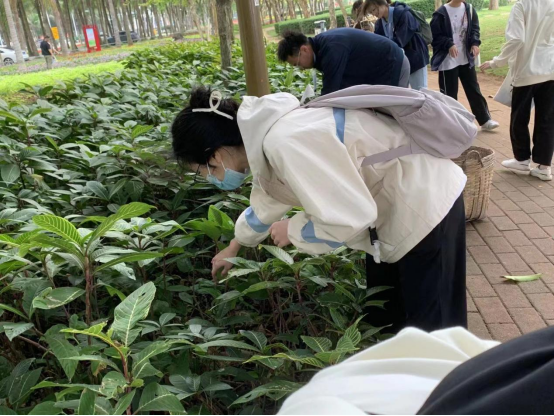 免费观看已满十八岁电视剧动漫版