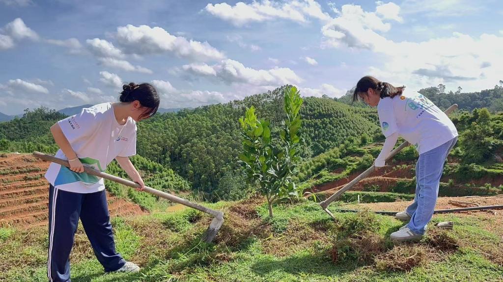 免费观看已满十八岁电视剧动漫版