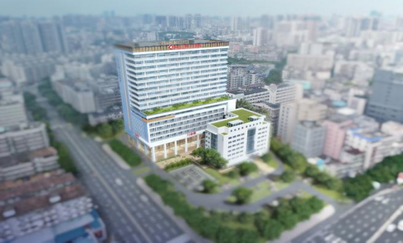 免费观看已满十八岁电视剧动漫版