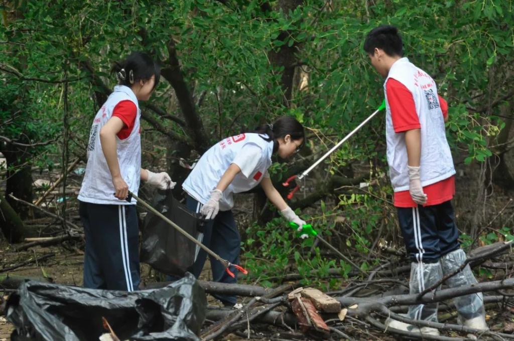 免费观看已满十八岁电视剧动漫版