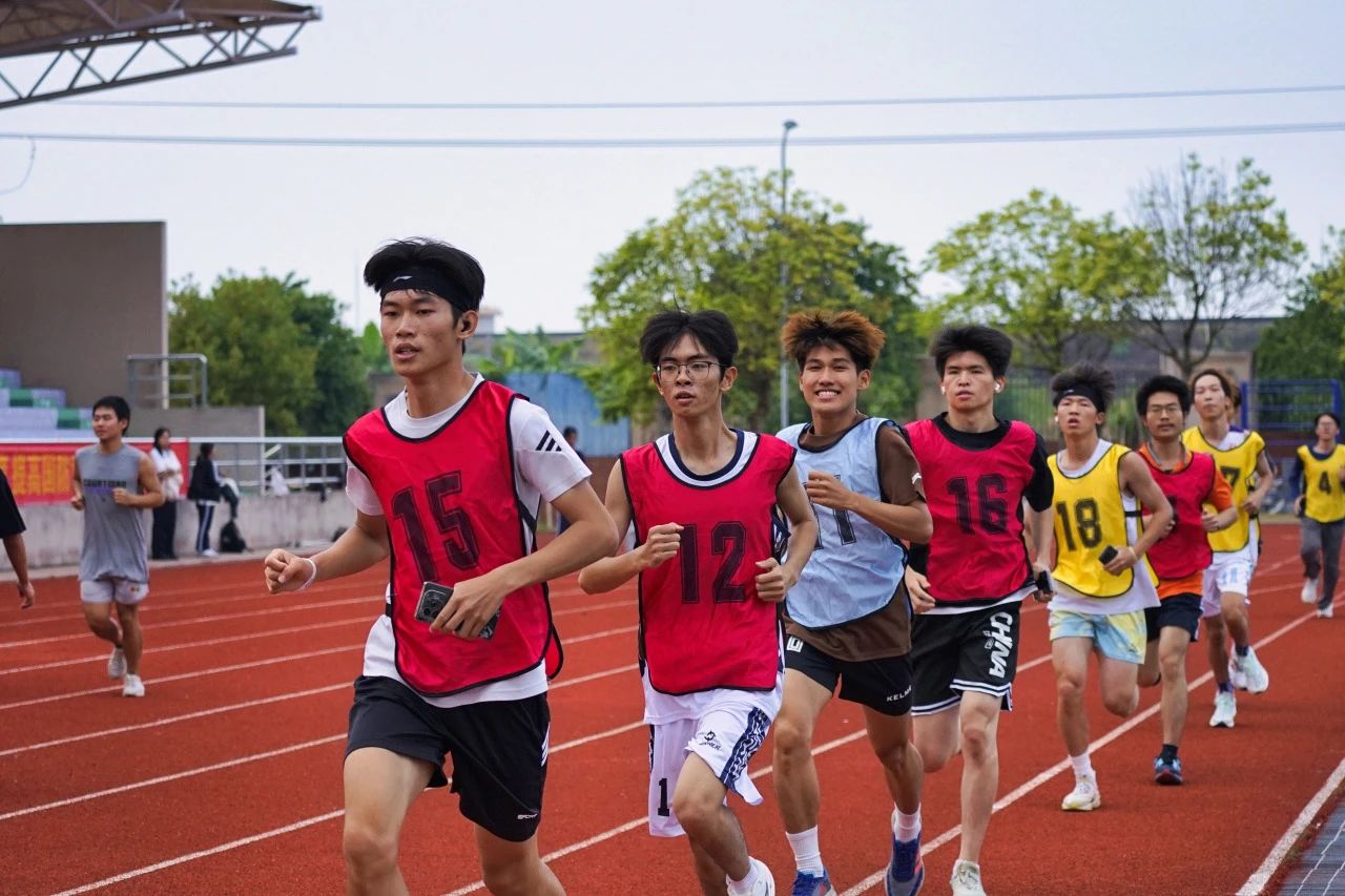 免费观看已满十八岁电视剧动漫版