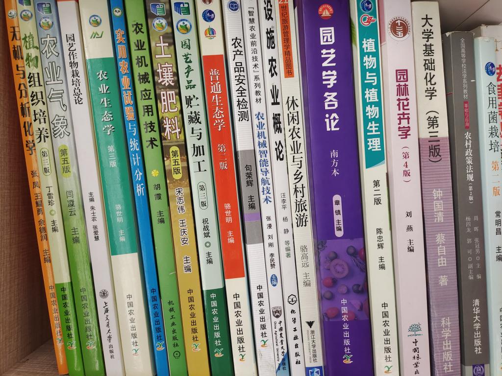 免费观看已满十八岁电视剧动漫版