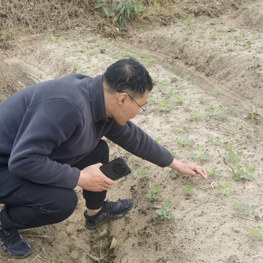 免费观看已满十八岁电视剧动漫版