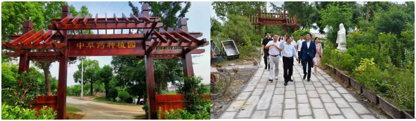 免费观看已满十八岁电视剧动漫版