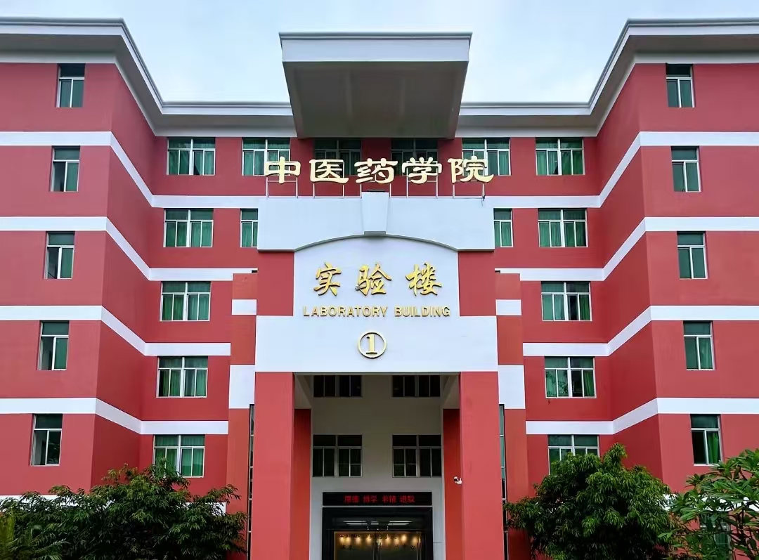 免费观看已满十八岁电视剧动漫版