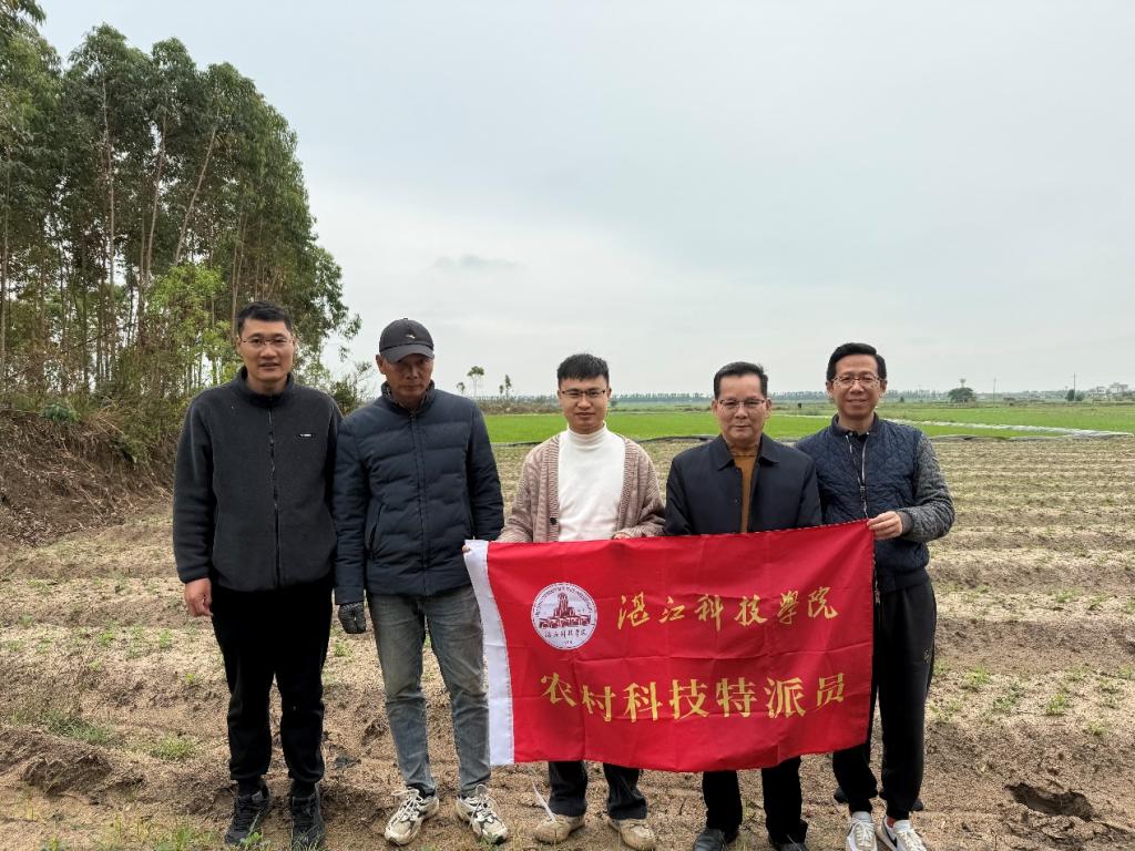 免费观看已满十八岁电视剧动漫版