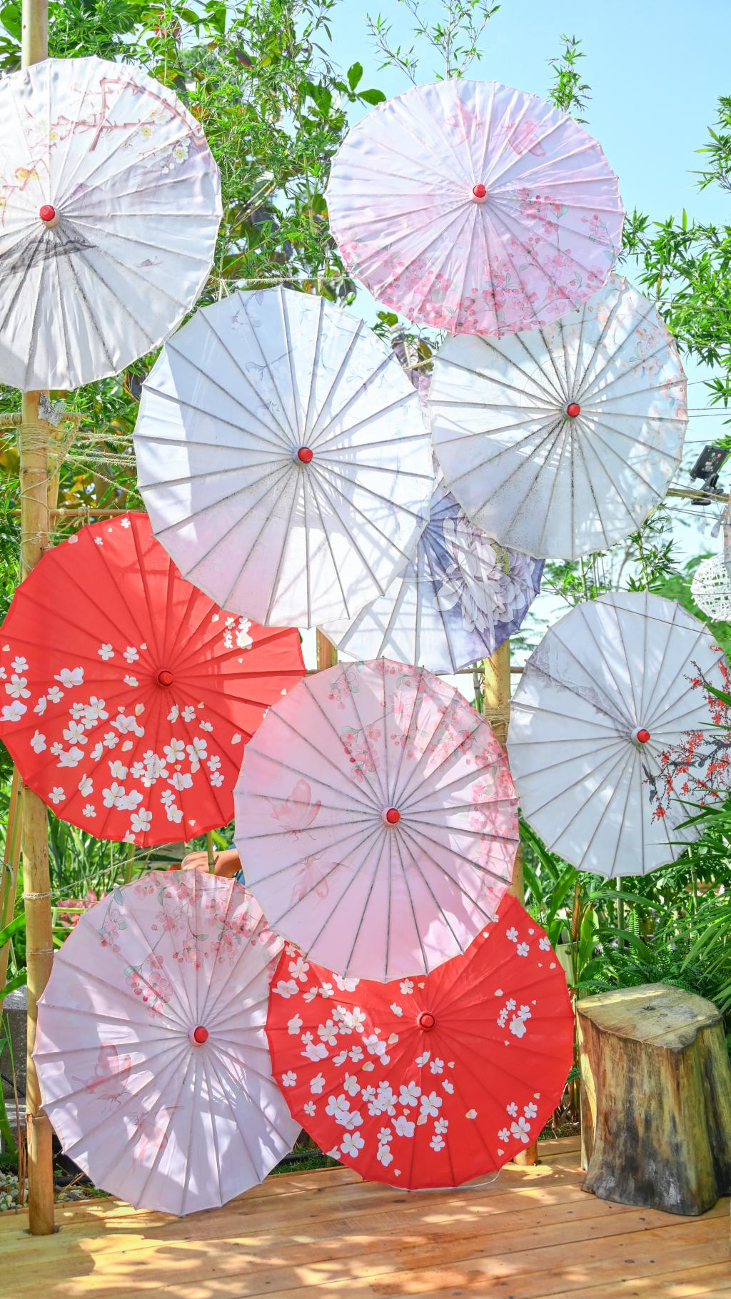 免费观看已满十八岁电视剧动漫版
