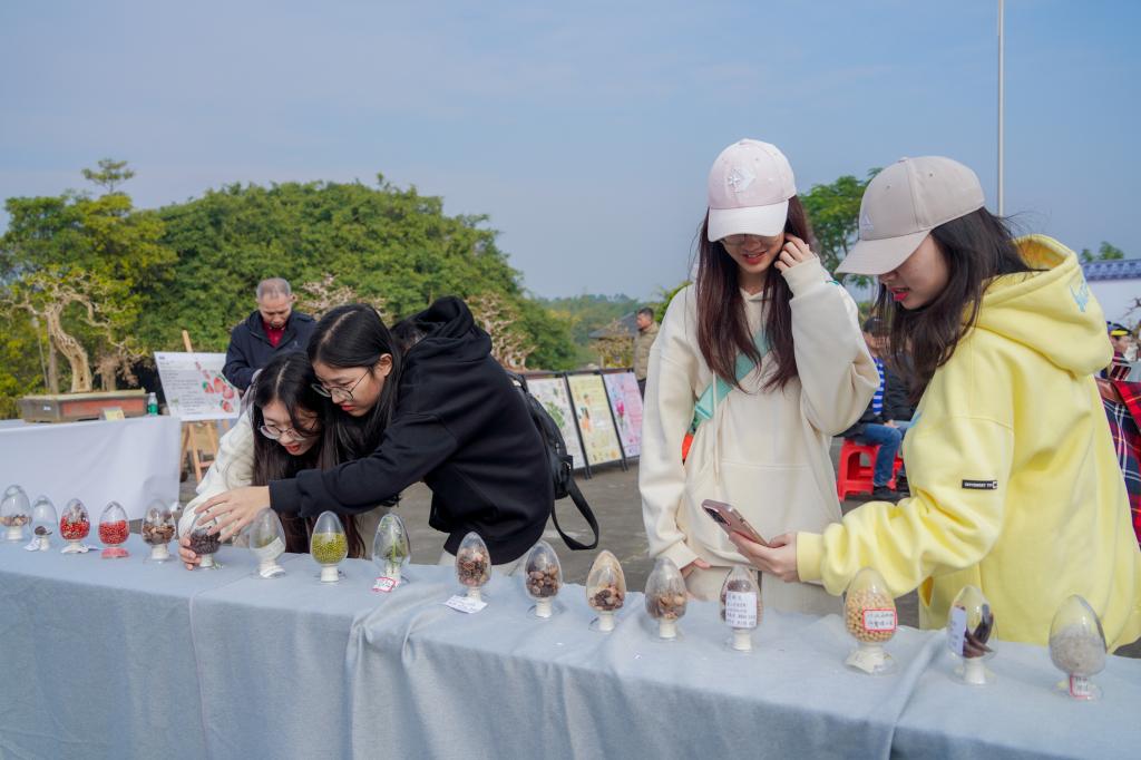 免费观看已满十八岁电视剧动漫版