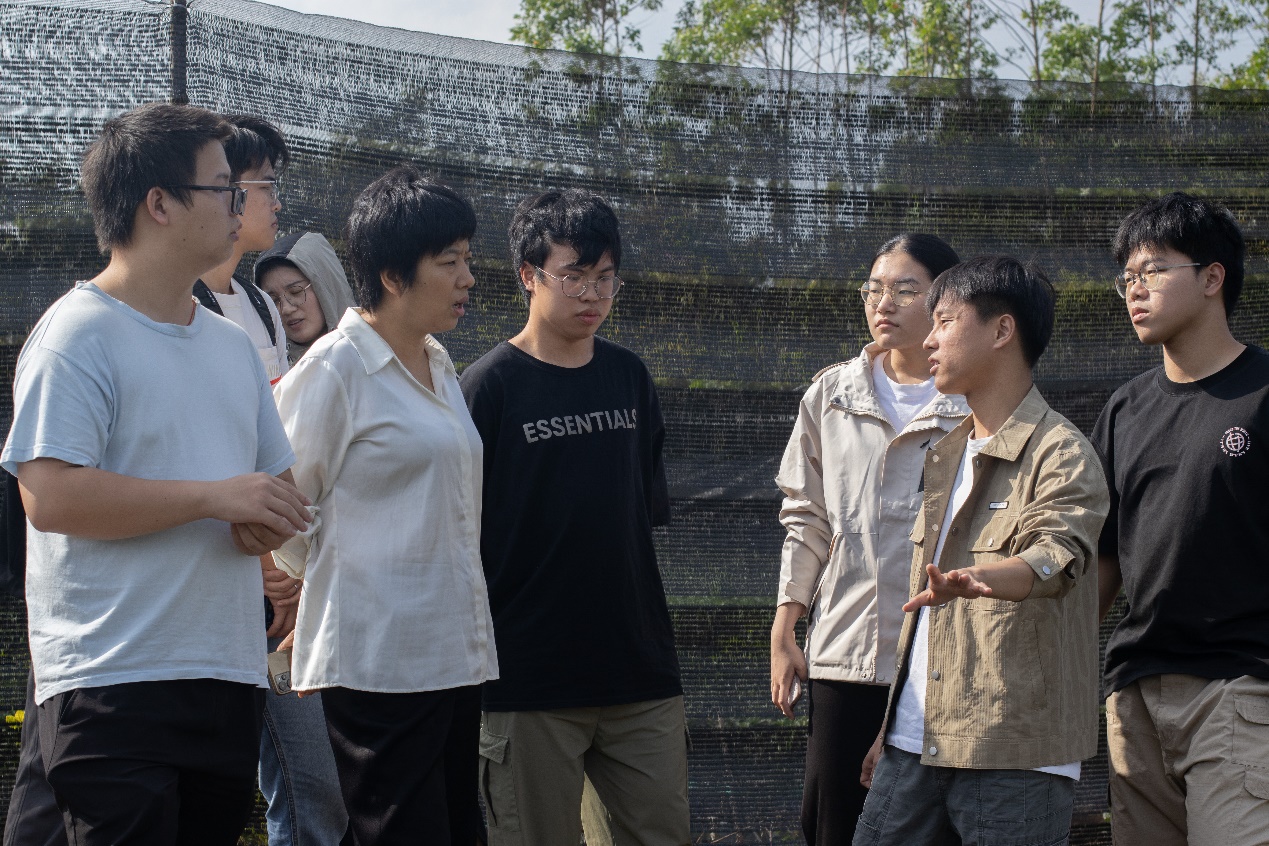 免费观看已满十八岁电视剧动漫版