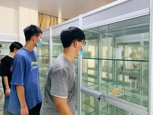 免费观看已满十八岁电视剧动漫版