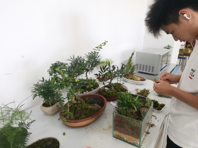 免费观看已满十八岁电视剧动漫版