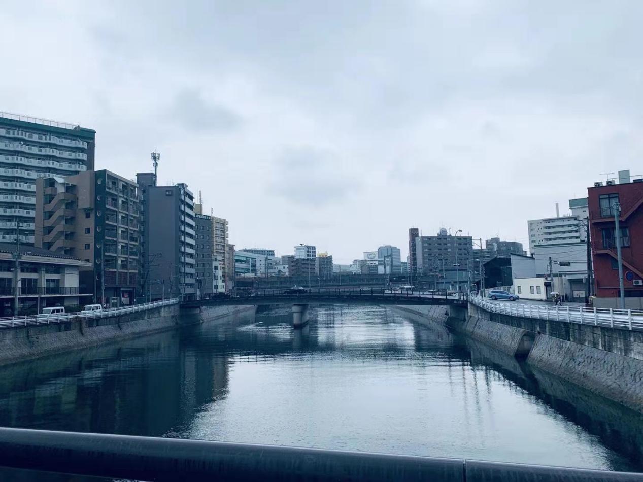 免费观看已满十八岁电视剧动漫版