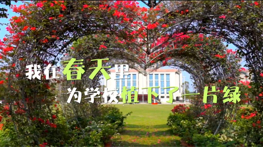 免费观看已满十八岁电视剧动漫版