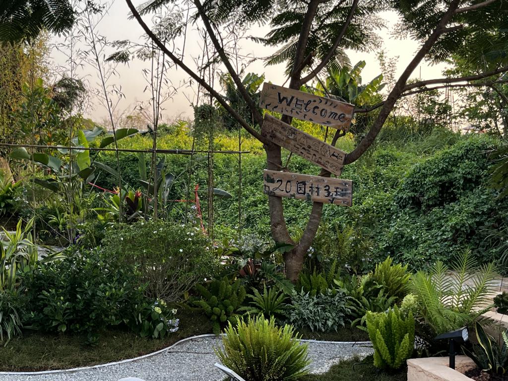 免费观看已满十八岁电视剧动漫版