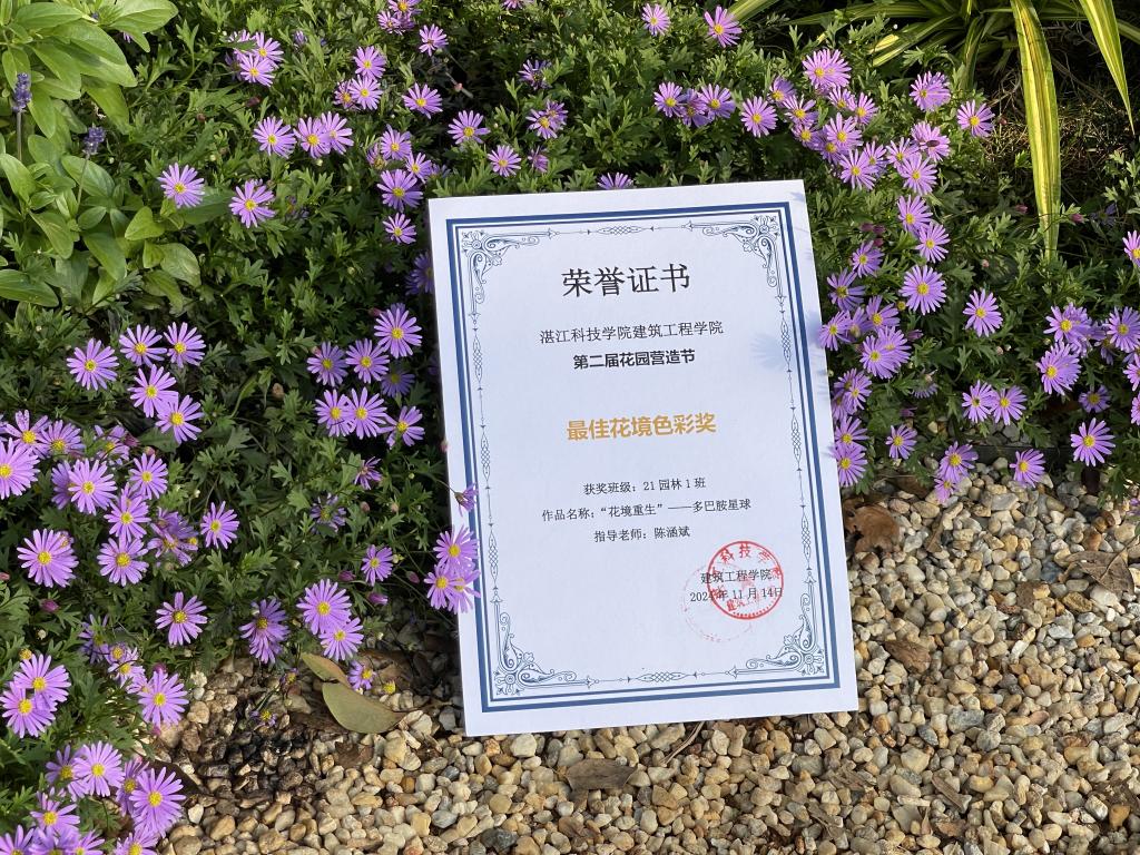 免费观看已满十八岁电视剧动漫版