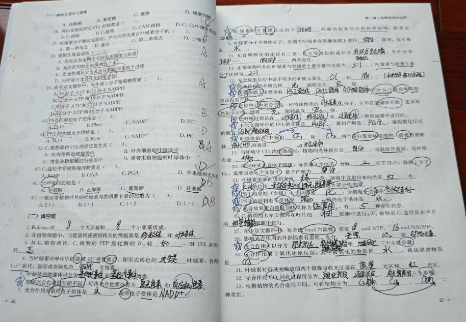 免费观看已满十八岁电视剧动漫版