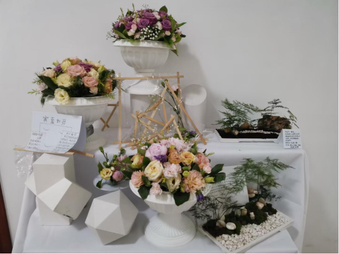 免费观看已满十八岁电视剧动漫版