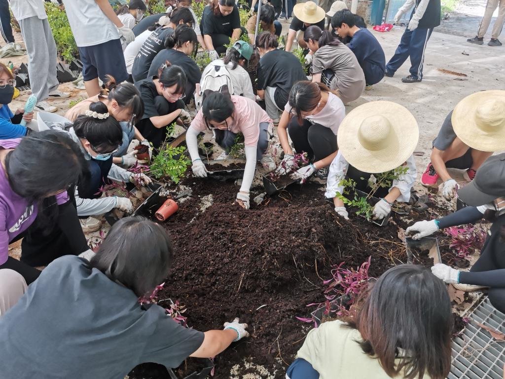 免费观看已满十八岁电视剧动漫版