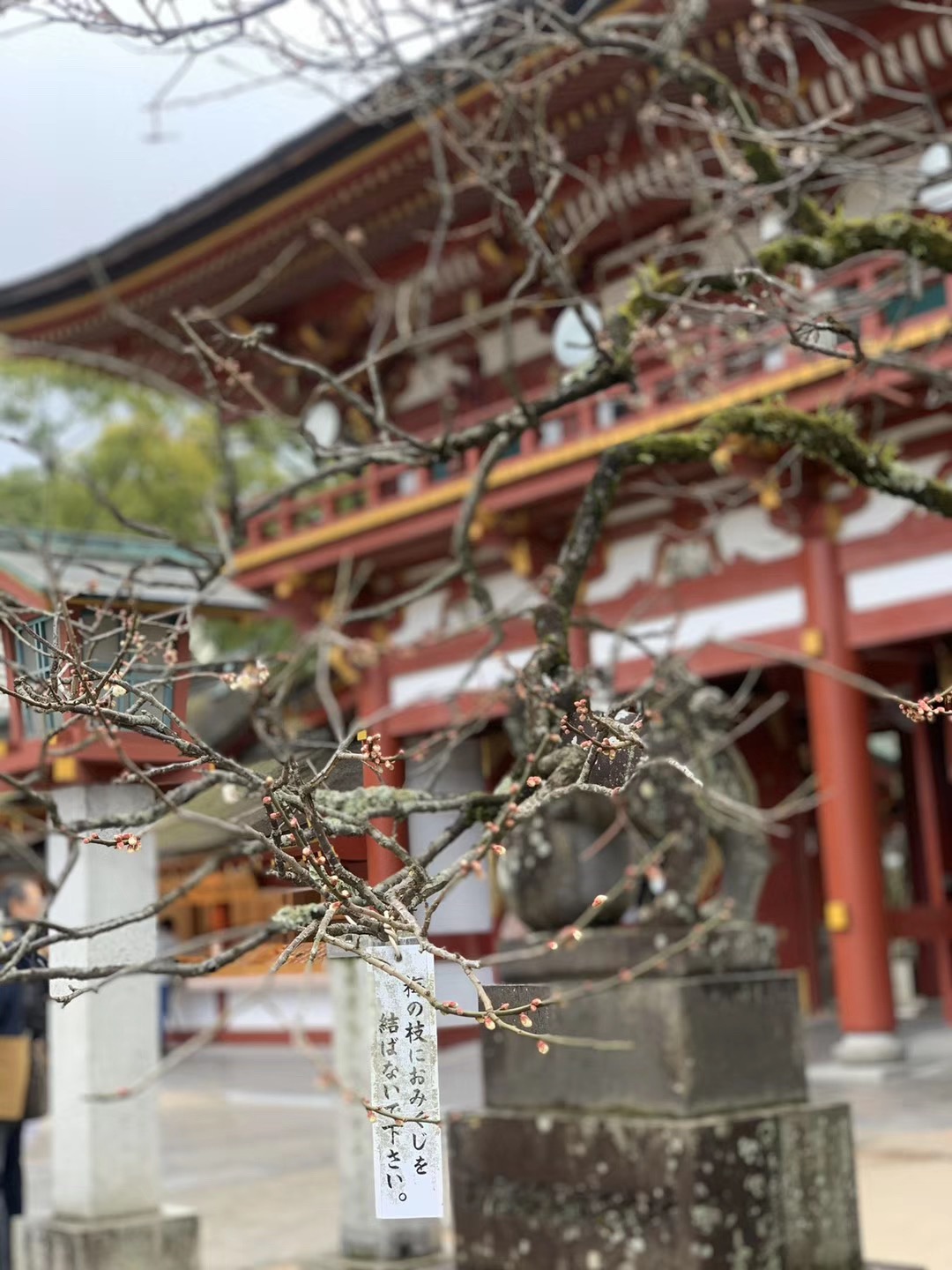 免费观看已满十八岁电视剧动漫版