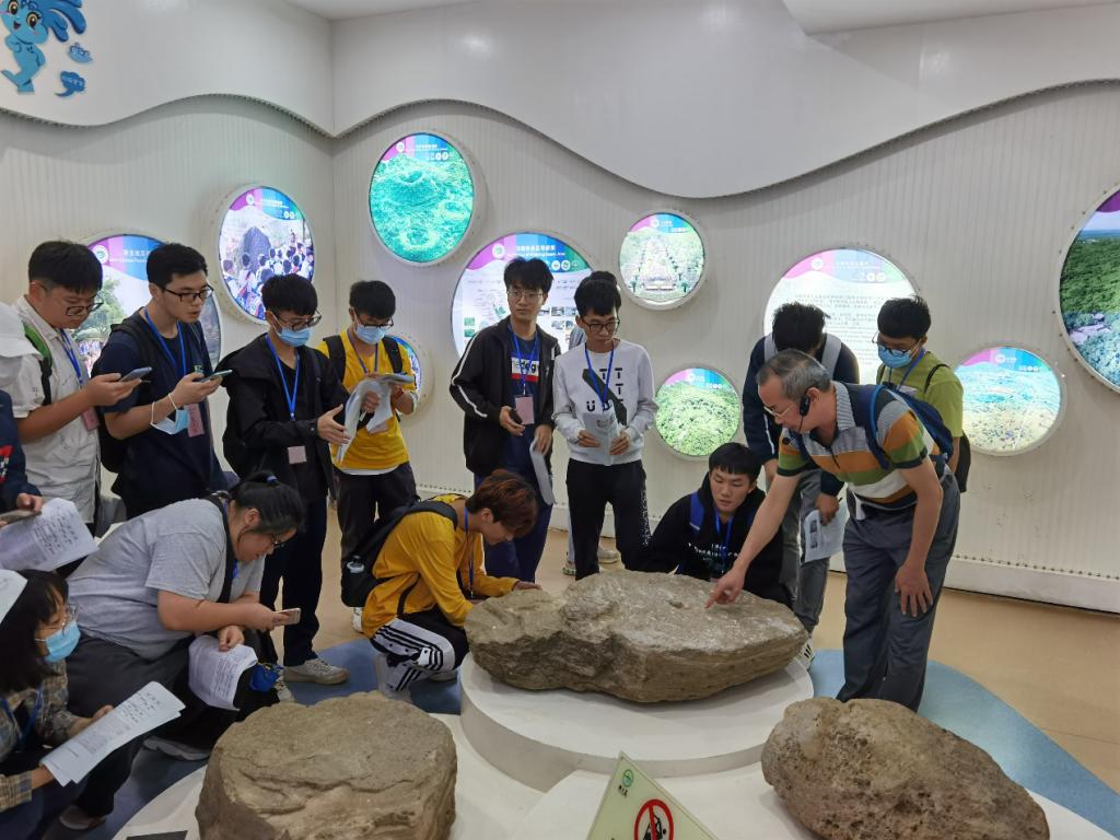 免费观看已满十八岁电视剧动漫版
