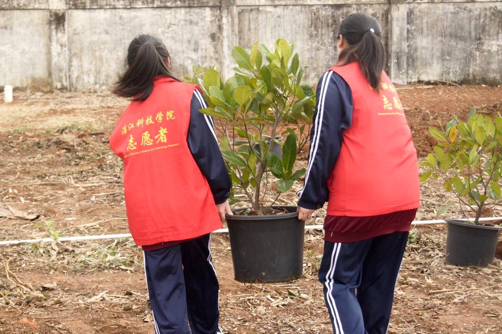 免费观看已满十八岁电视剧动漫版