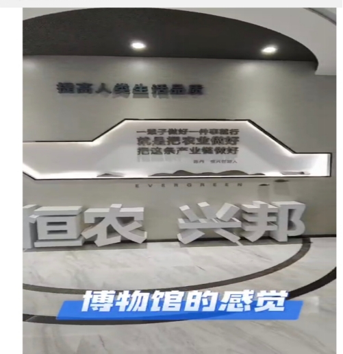 免费观看已满十八岁电视剧动漫版