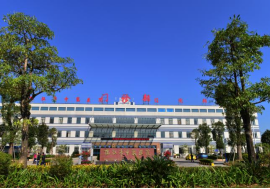 免费观看已满十八岁电视剧动漫版