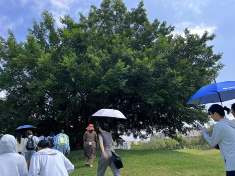免费观看已满十八岁电视剧动漫版