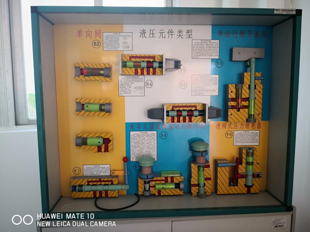 免费观看已满十八岁电视剧动漫版