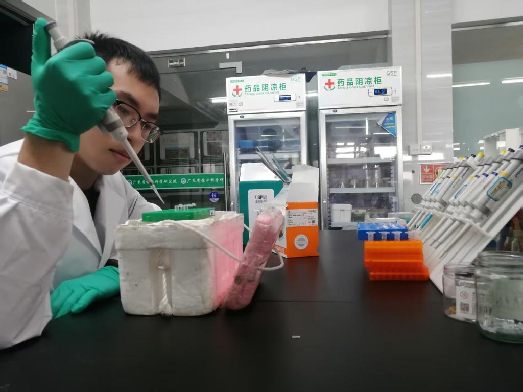 免费观看已满十八岁电视剧动漫版