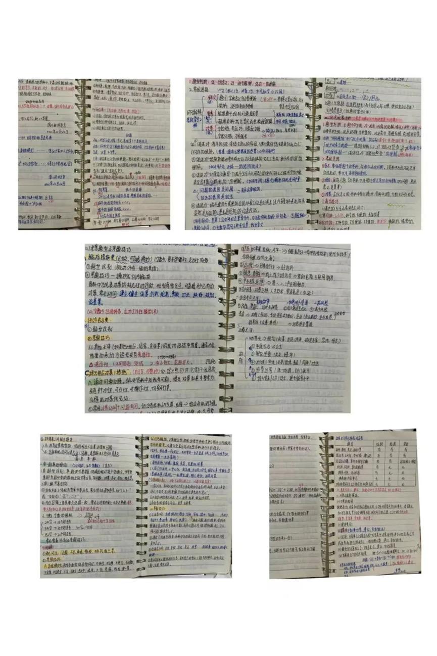 免费观看已满十八岁电视剧动漫版
