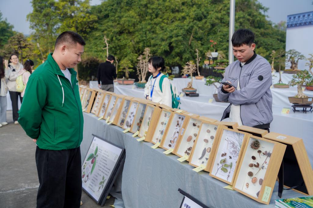 免费观看已满十八岁电视剧动漫版