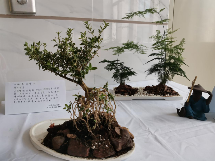 免费观看已满十八岁电视剧动漫版