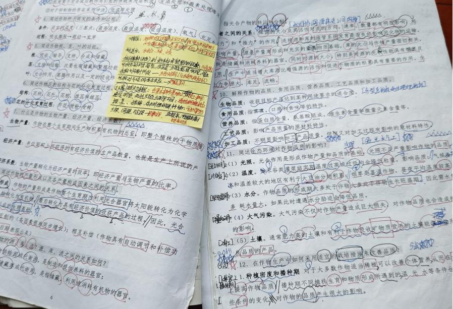 免费观看已满十八岁电视剧动漫版