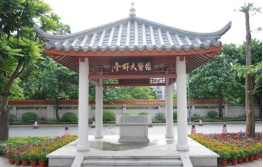 免费观看已满十八岁电视剧动漫版