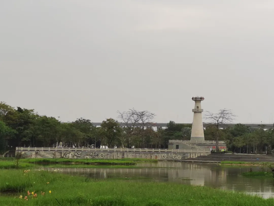 免费观看已满十八岁电视剧动漫版