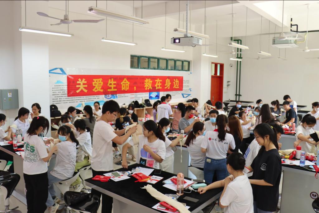 免费观看已满十八岁电视剧动漫版