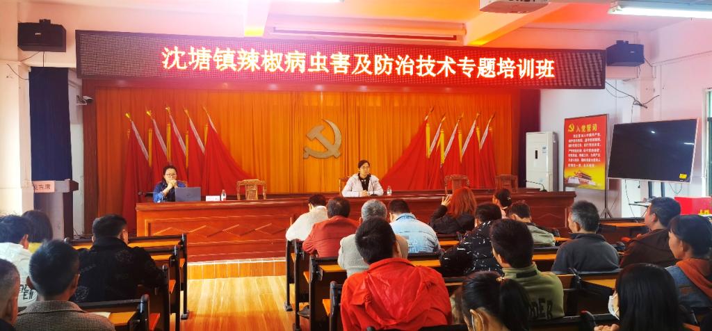 免费观看已满十八岁电视剧动漫版